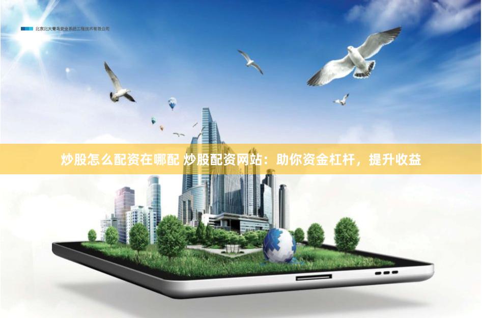 炒股怎么配资在哪配 炒股配资网站：助你资金杠杆，提升收益